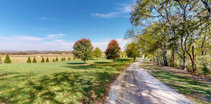 4001 Rippey Lake Rd, Mount Pleasant