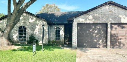 1326 Tiny Tree Drive, Missouri City