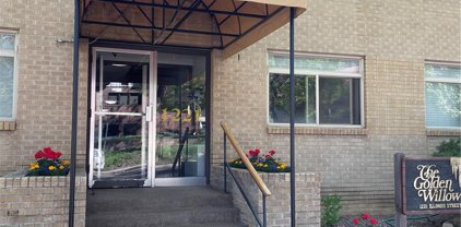 1221 Illinois Street Unit 2C, Golden