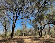 7857 Mary Seabrook Road, Edisto Island image