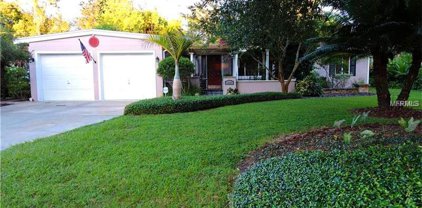 1303 Baldwin Drive, Orlando
