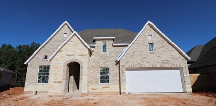 434 Paintbrush Meadows Drive, Willis