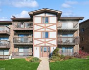 3660 W 119Th Street Unit #202, Alsip image
