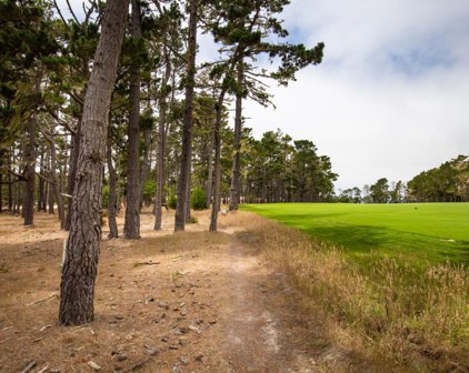1455 Lisbon Court, Pebble Beach