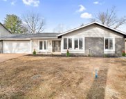 15263 Country Ridge  Drive, Chesterfield image