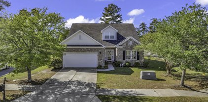 3100 Ivy Lea Dr., Conway