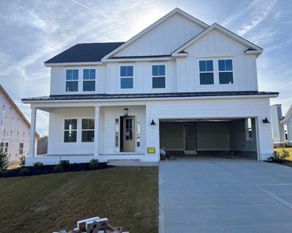 728 WHITNEY SHOALS ROAD, Evans