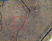 Lot 15 Inaccessible Track, Deland image