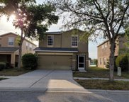 7811 Carriage Pointe Drive, Gibsonton image