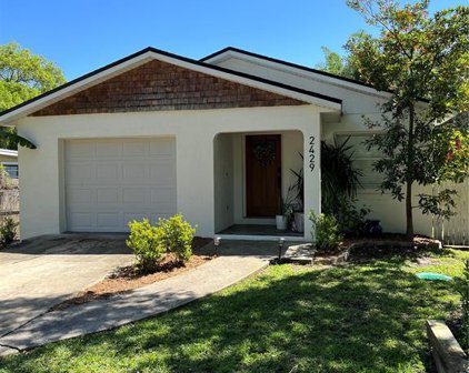 2429 S Brown Avenue, Orlando