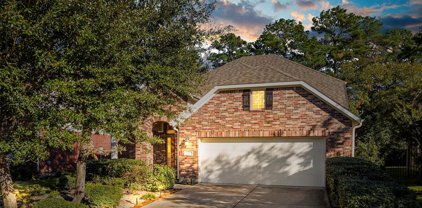 22 Wood Drake Place, Tomball