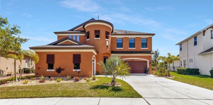 13232 Fawn Lily Drive, Riverview