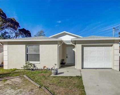 3806 E Osborne Avenue, Tampa