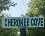 18370 Cherokee Cove, Rocky Mount image