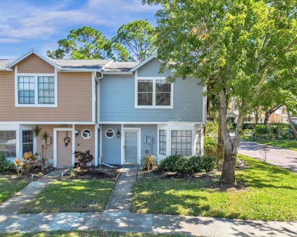 11763 Windbourne Court, Orlando