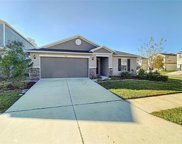 9215 Freedom Hill Drive, Seffner image