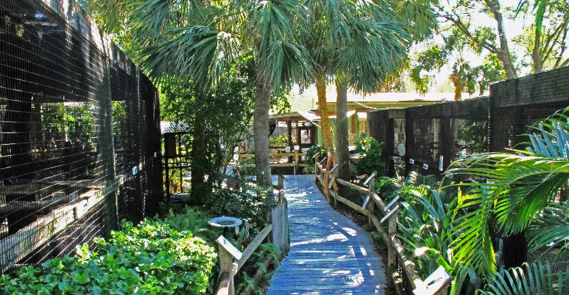 Peace River Wildlife Education Center