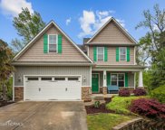 126 Roughleaf Trail, Hampstead image