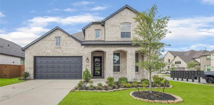 12635 Banchory Leaf Drive, Humble