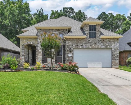 4503 Tamarind Trail, Kingwood