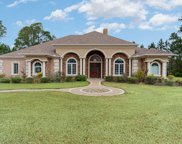 1040 Anhinga Ct., Conway image