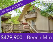 103 Wedling Weg Unit 6, Beech Mountain image