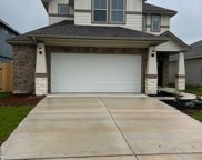 916 Windflower, New Braunfels image