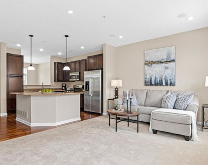 8142 Oakview Lane N Unit #53, Maple Grove