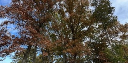 Corum Hill, Castalian Springs