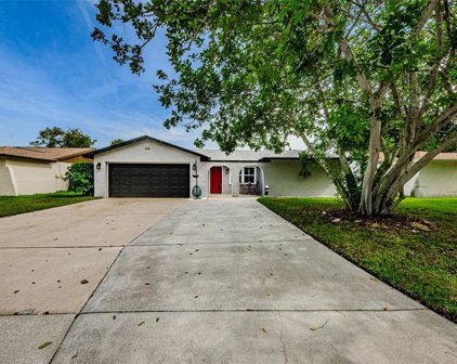 110 Coral Drive, Safety Harbor
