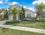 3802 Blue Dasher Drive, Kissimmee image