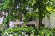 428 Agnes Street Unit 301, New Westminster image