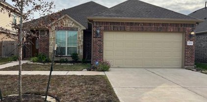 2419 Dianna Lee Drive, Missouri City
