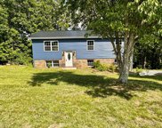 314 Idlewild Drive, White Pine image