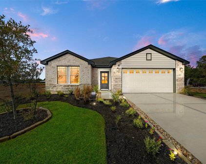 11728 Whirlaway Drive, Willis