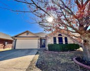 736 Nelson  Place, Fort Worth image