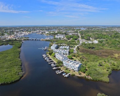 1152 Flying Fish Lane, Tarpon Springs