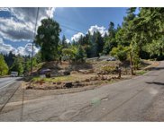 Clackamas River Dr, Oregon City image