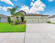 11713 Tetrafin Drive, Riverview image