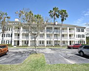 770 Siena Palm Drive Unit 203, Celebration image
