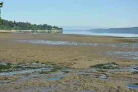 Tolmie State Park
