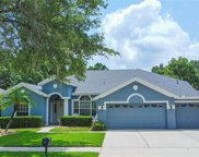 2015 Wexford Green Drive, Valrico image
