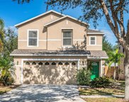 11012 Golden Silence Drive, Riverview image