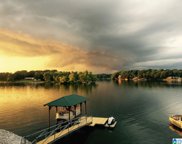 724 Shannon Lynn Shores Lane, Talladega image