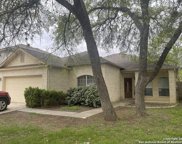 10819 Bramante Ln, Helotes image
