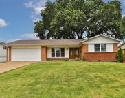 6827 Ardale  Drive, St Louis image