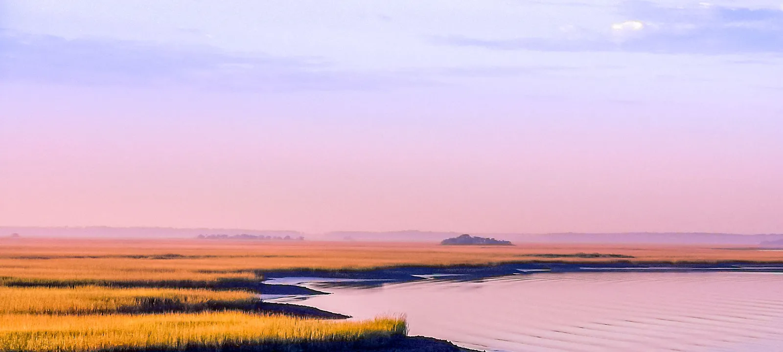 Lowcountry Coastal Real Estate