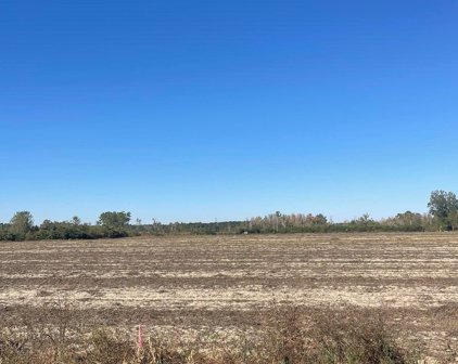 TBD Joyner Swamp Rd., Galivants Ferry