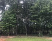 6217 Hollow Oak  Drive Unit #88, Mint Hill image