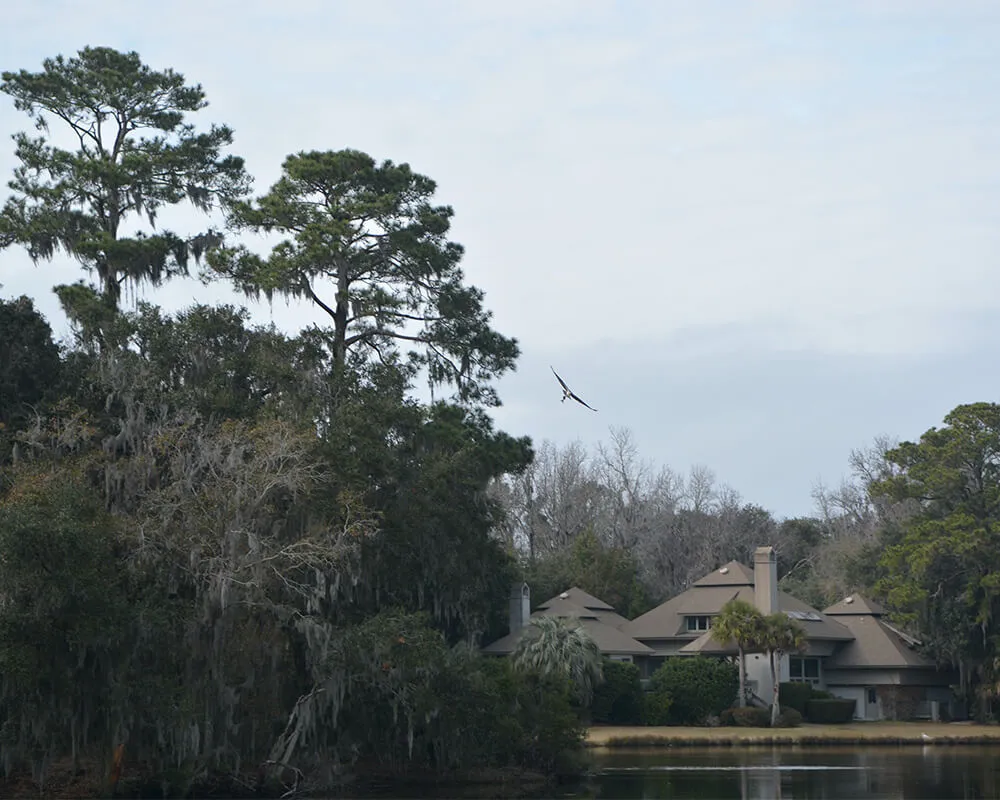 Hilton Head Plantation Real Estate